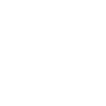 icon1