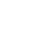 icon1