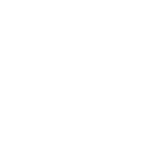 icon4