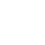 icon1