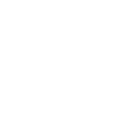icon1