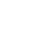 icon1