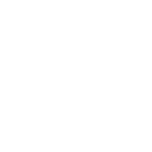icon2