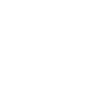 phoneicon1