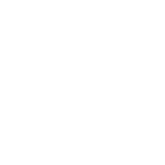 icon1-1